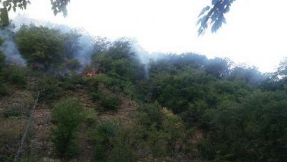 5 هکتار از جنگل‌های مینودشت در آتش بی‌مسئولیتی سوخت/ اطفای حریق در ساعت 5 بامداد