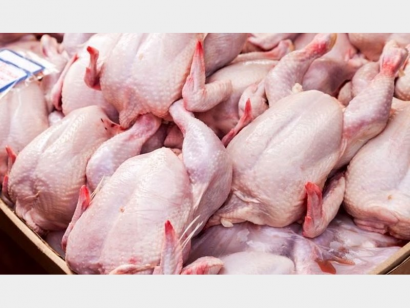 شاید مرغ گران‌تر شود/ تولید کم است و تقاضا زیاد/ تعدادی از مرغداری‌های گلستان ورشکست شدند