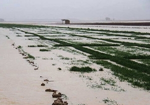 تسهیلات بلاعوض به کشاورزان و دامداران سیل‌زده گلستان پرداخت می‌شود