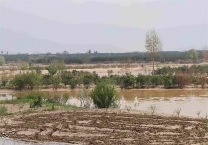 محصولات ۱۱۰ هزار هکتار از اراضی کشاوری گلستان در سیل از بین رفت