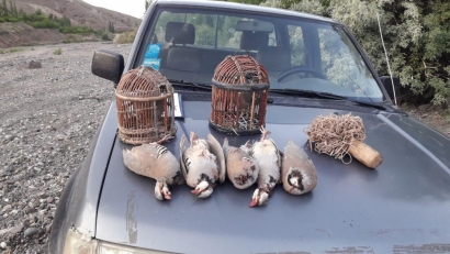 دستگیری شکارچیان غیرمجاز پرندگان شکاری در گلستان