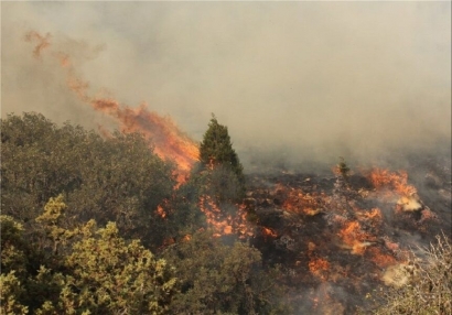مسافران و گردشگران مراقب آتش سوزی در پارک ملی گلستان باشند