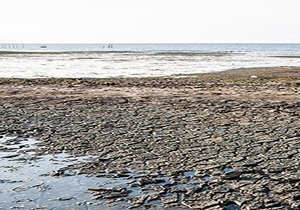 مدیرکل محیط‌ زیست گلستان: احیای خلیج گرگان به یک مطالبه عمومی تبدیل شده است