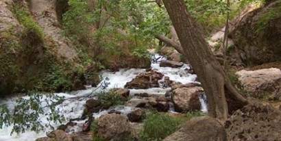 اختلاف‌نظر شهرداری گرگان با اداره منابع طبیعی بر سر جاده خاکی واقع در پارک جنگلی «النگدره»