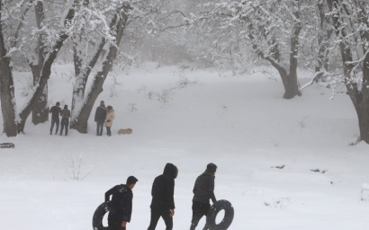 برف زمستانی در جنگل توسکستان