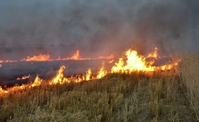 پرهیز کشاورزان از آتش زدن بقایای گیاهان زراعی