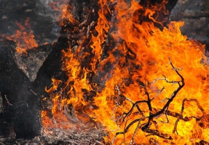 هشدار منابع طبیعی گلستان نسبت به آتش‌سوزی جنگل‌ها و مراتع