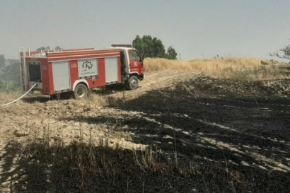 آتش سوزی زمین کشاورزی در گلستان/یک هکتار گندم زار در آتش سوخت