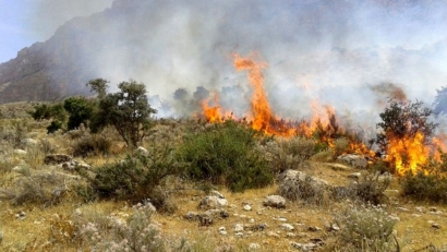 حضور نیروهای امدادی برای کمک به مهار آتش سوزی در میانکاله/ میزان خسارت مشخص نیست