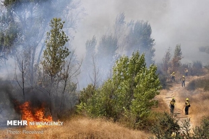 شعله‌ور شدن دوباره آتش در توسکستان/ وزش باد کار را سخت کرده است