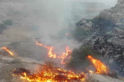 ۳۸ فقره آتش سوزی در جنگل های گلستان/آتش در نوکنده مهار شد