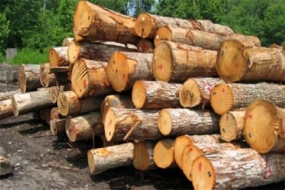 کشف چوب جنگلی قاچاق در بندرترکمن 