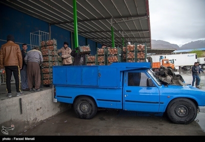 وقتی مصوبه ستاد تنظیم بازار استان گلستان برای تأمین میوه شب عید جدی گرفته نمی‌شود