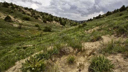 بازگشت ۱۱۸ هکتار اراضی جنگلی گلستان به منابع طبیعی