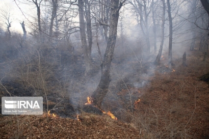 آتش به حدود پنج هکتار از پارک ملی گلستان خسارت زد