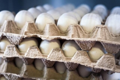 فرماندار گرگان: تخم‌مرغ باید با قیمت مصوب عرضه شود