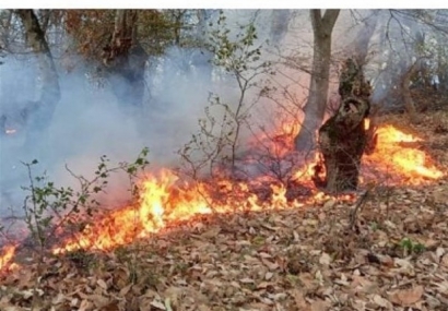 آتش به جان جنگل "رنگو" افتاد/ فراخوان گروه‌های جهادی از سوی فرمانده سپاه گرگان برای اطفای حریق
