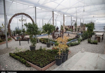 نخستین گلخانه کشت گیاهان دارویی شمال کشور در گنبدکاووس به بهره‌برداری رسید