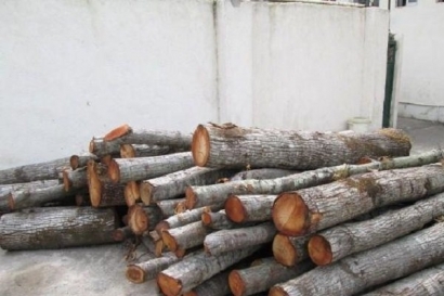 کشف چوب جنگلی قاچاق در آزادشهر