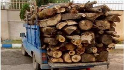 کشف چوب قاچاق در رامیان
