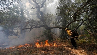 آتش به جان ۵ هکتار از منطقه جنگلی حفاظت شده لوه افتاد