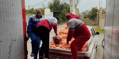 داوطلب گلستانی هلال احمر بخشی از محصولات باغ خود را به زلزله زدگان خوی اهدا کرد