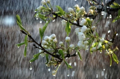 سال نو در گلستان با باران آمد/ بارش ها تا پایان هفته ادامه دارد