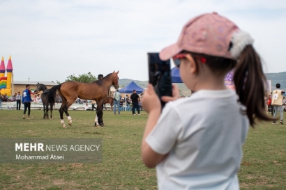 هفدهمین جشنواره ملی زیبایی اسب اصیل ترکمن در کلاله آغاز شد