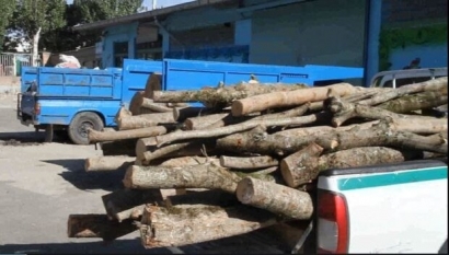 یک تُن چوب قاچاق توسکا در آق‌قلا کشف و ضبط شد