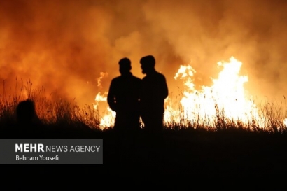 احداث آتش بر، برای مقابله با آتش سوزی احتمالی جنگل ها