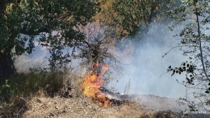 آتش سوزی در۳نقطه از جنگل‌های گالیکش