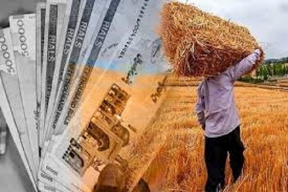 پرداخت مرحله‌ای مطالبات گندم‌کاران گلستان آغاز شد؛ خسارت ۱۱ هزار میلیاردی در پی خشکسالی
