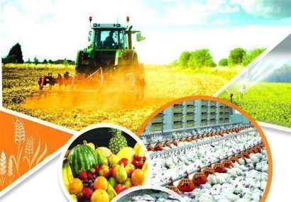 کاهش بارندگی و افزایش دما؛ تهدیدی جدی برای امنیت غذایی گلستان